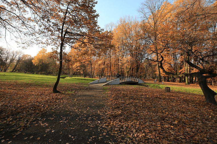 park chrobrego Gliwice