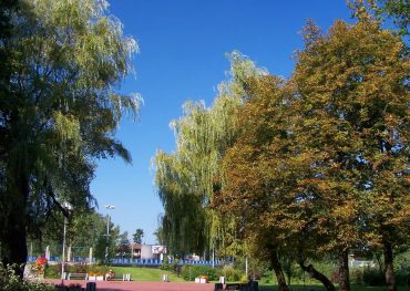 Park Kościuszki w Katowicach – zieleń w centrum miasta